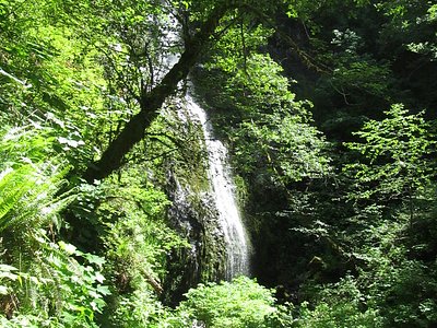 Siuslaw Falls
