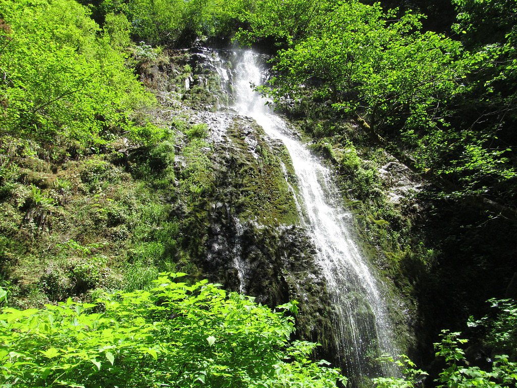 Siuslaw Falls waterfall