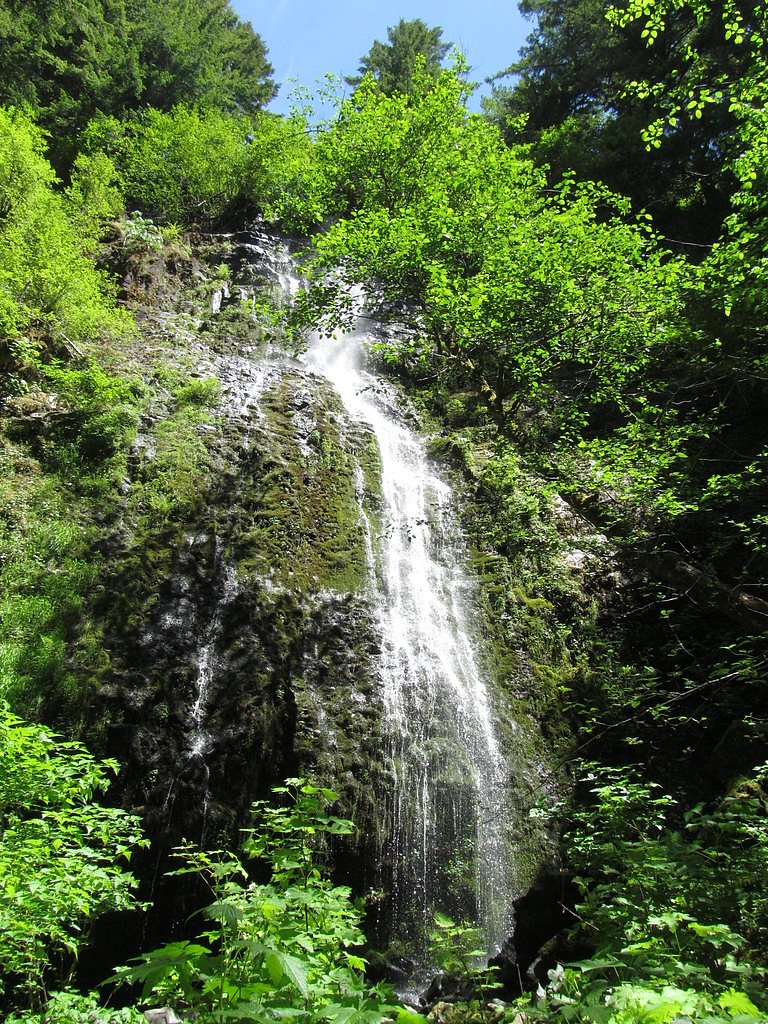 Siuslaw Falls waterfall