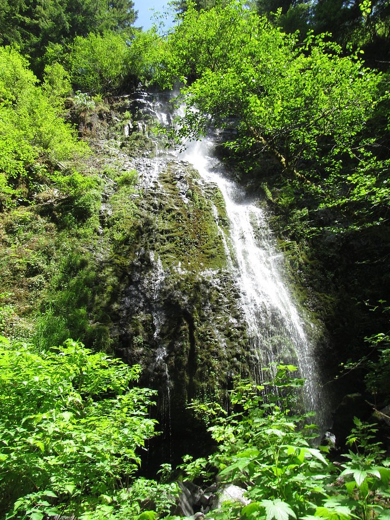 Siuslaw Falls waterfall