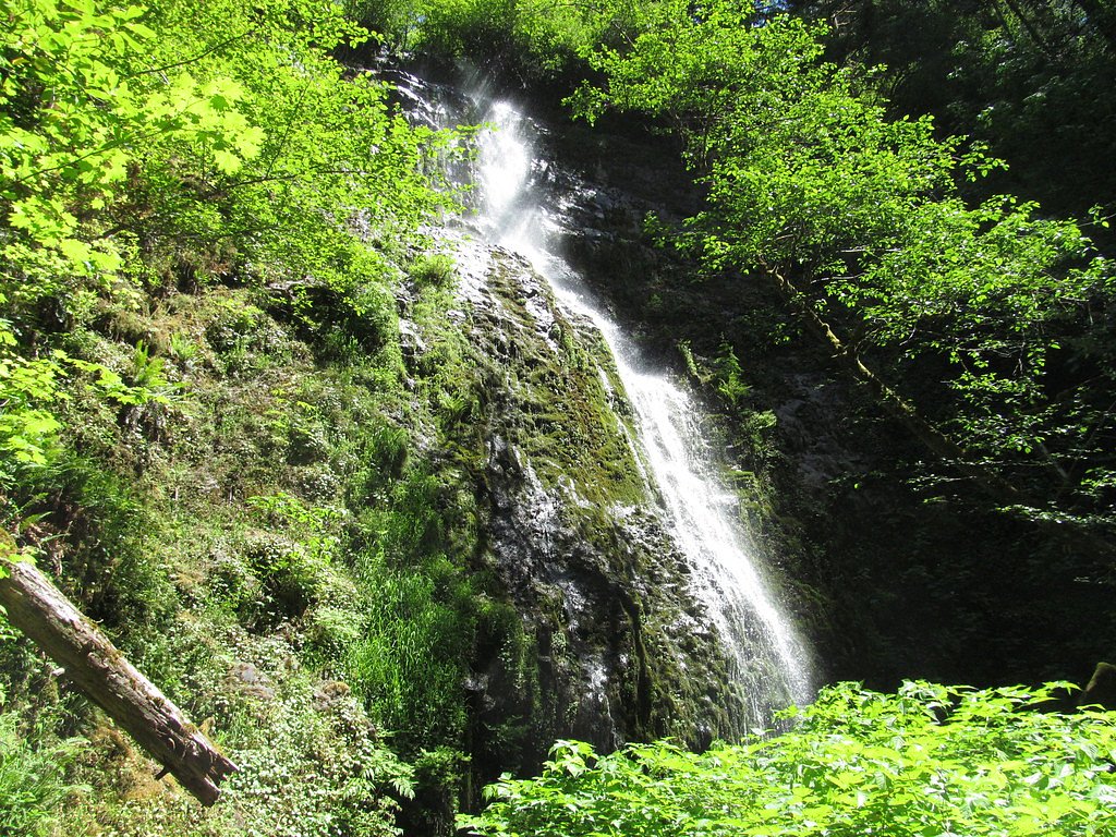 Siuslaw Falls waterfall