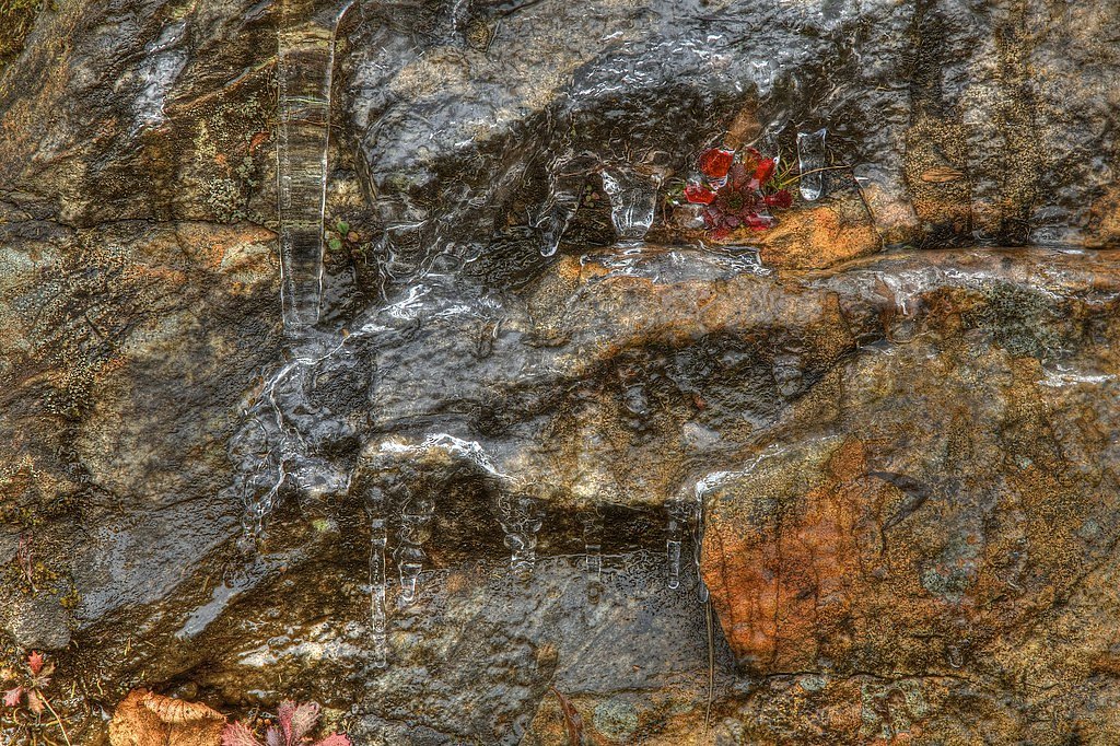 Slick Rock Falls waterfall