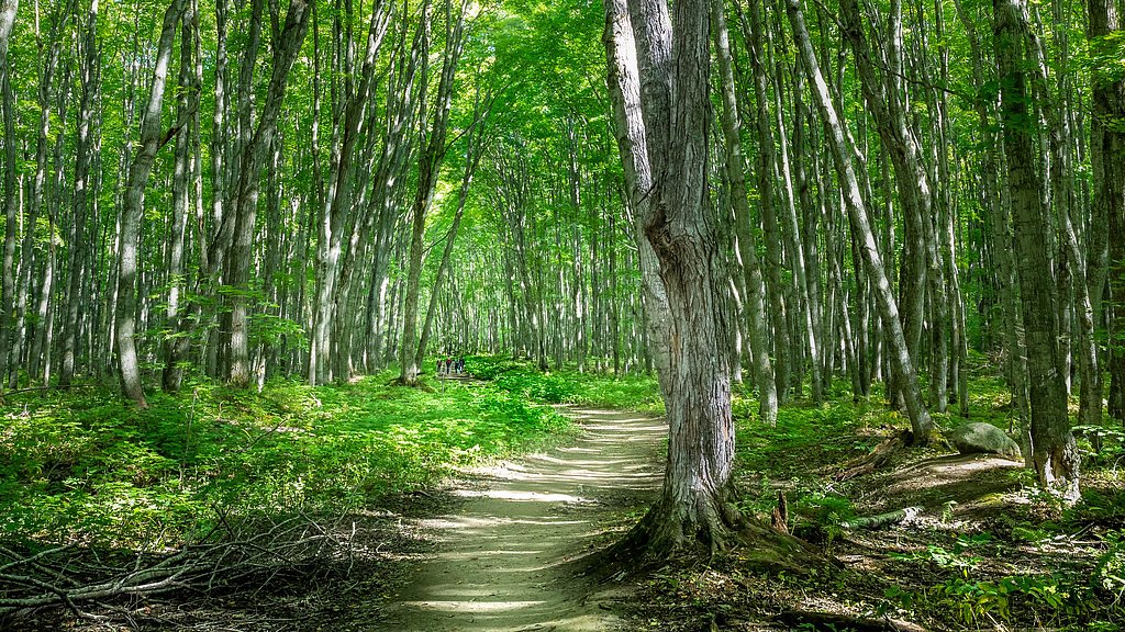 Slide Falls waterfall