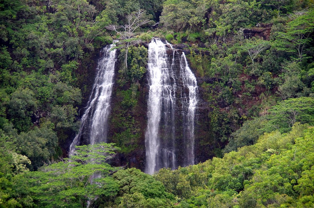 ʻŌpaekaʻa Falls waterfall