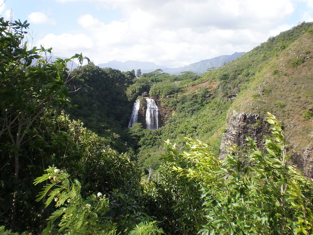 ʻŌpaekaʻa Falls waterfall