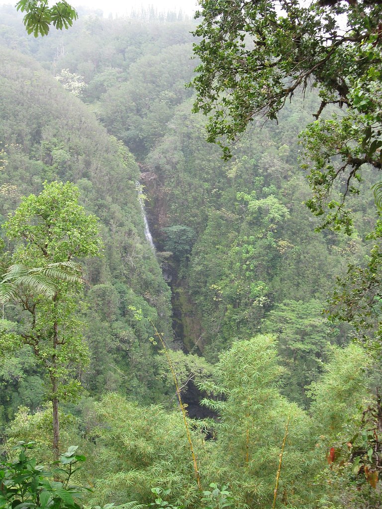 ʻAkaka Falls waterfall