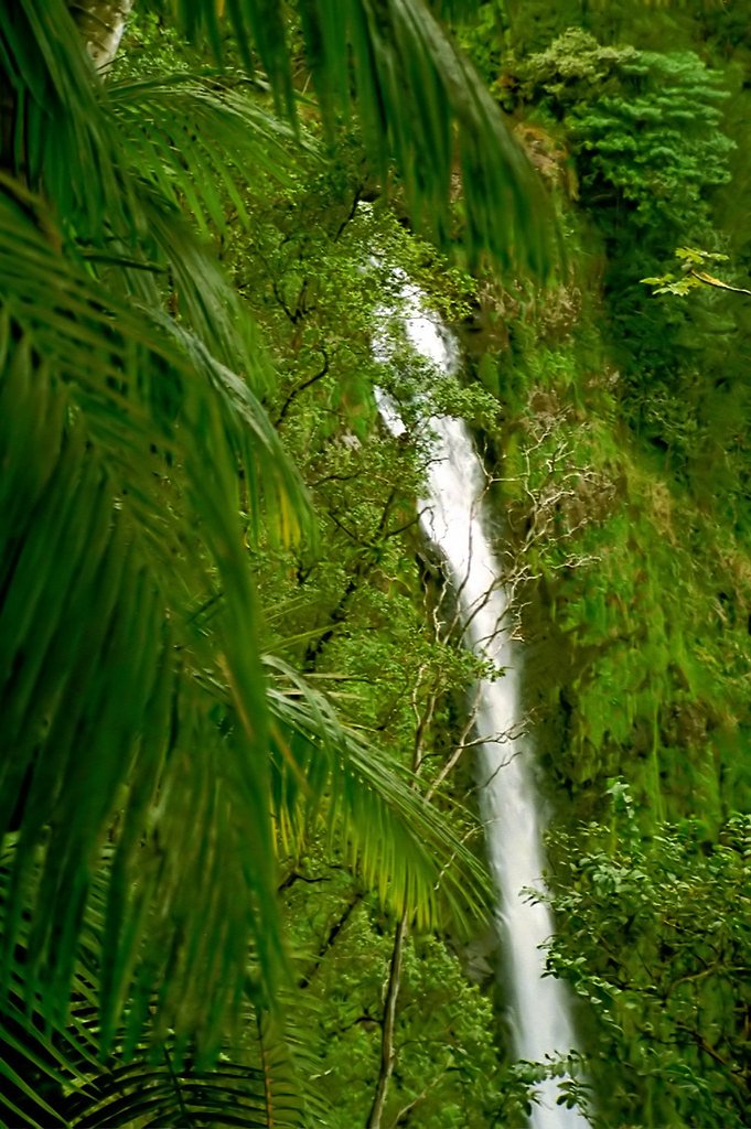 ʻAkaka Falls waterfall