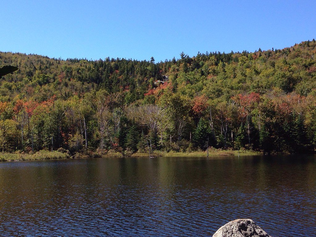 Zealand Falls waterfall