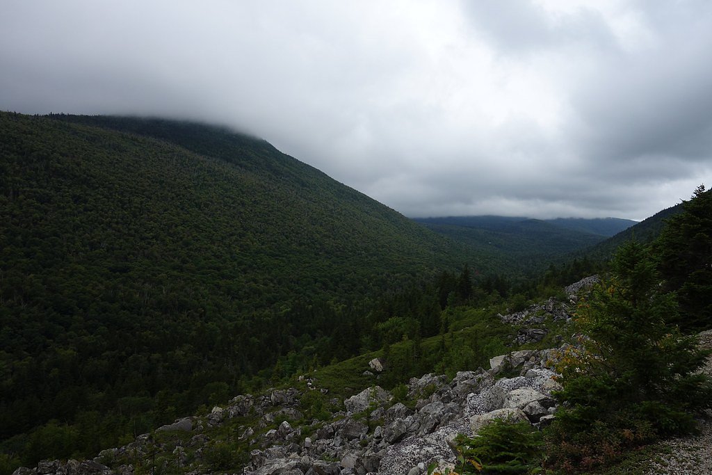 Zealand Falls waterfall