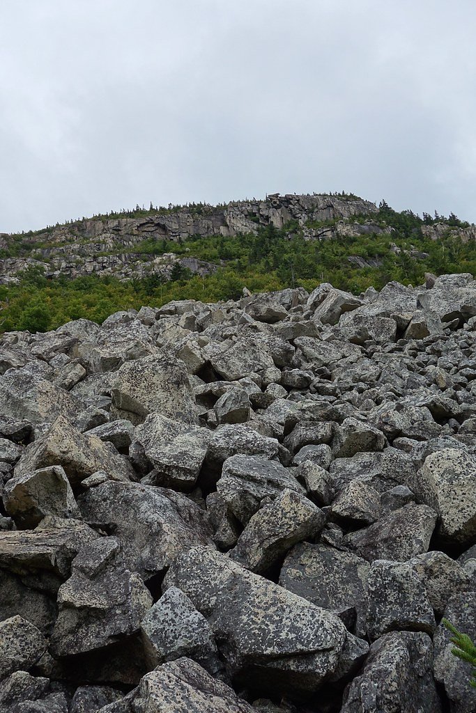 Zealand Falls waterfall