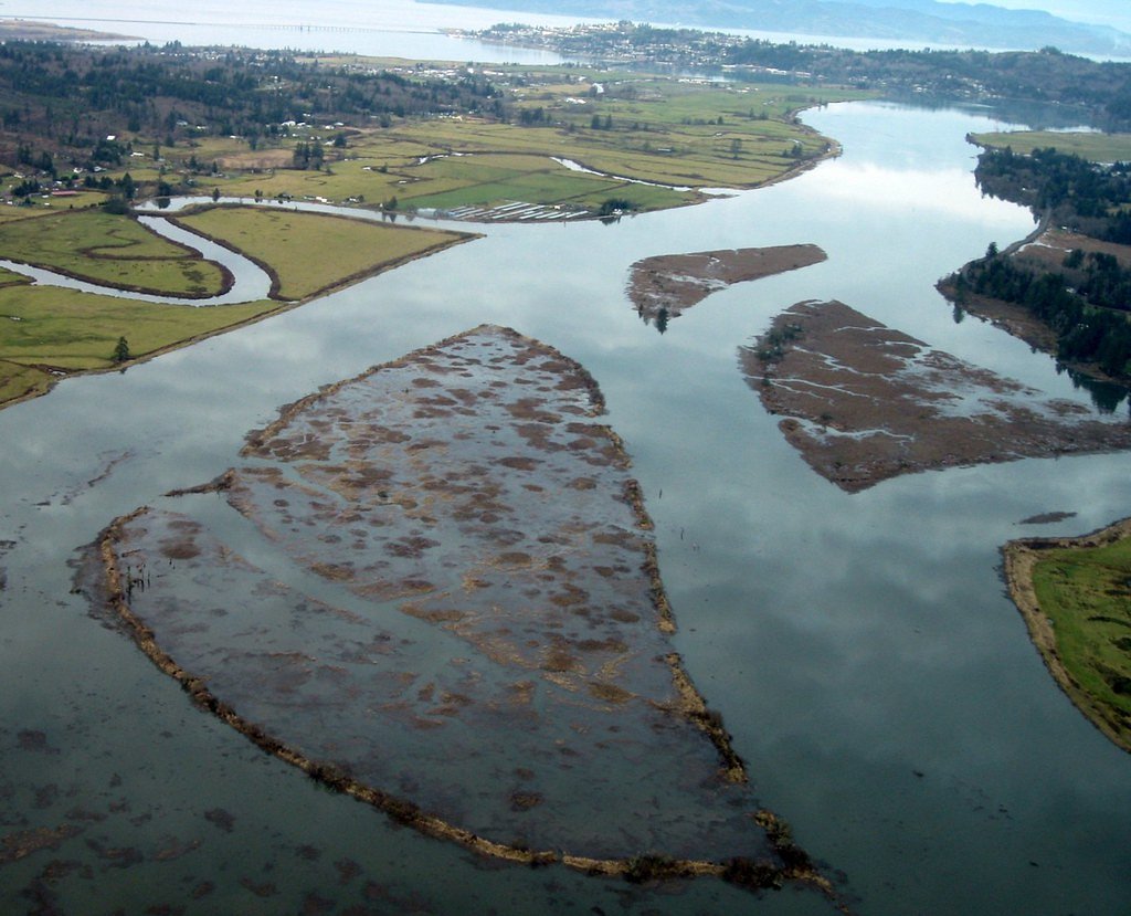 Youngs River Falls waterfall