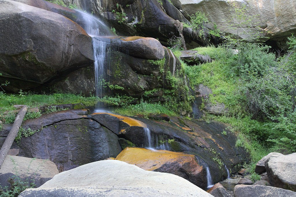 Young Falls waterfall