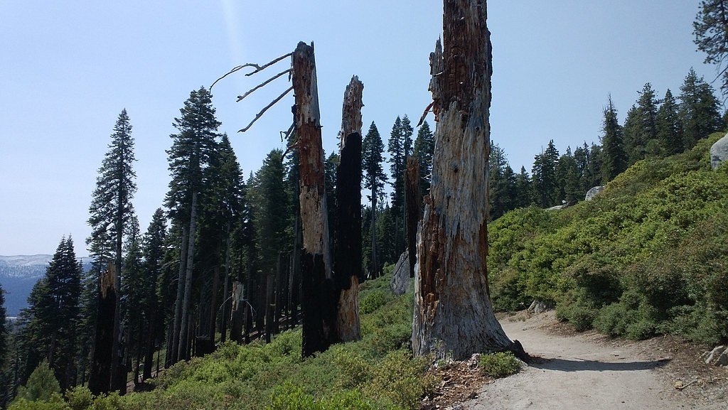 Yosemite Falls waterfall
