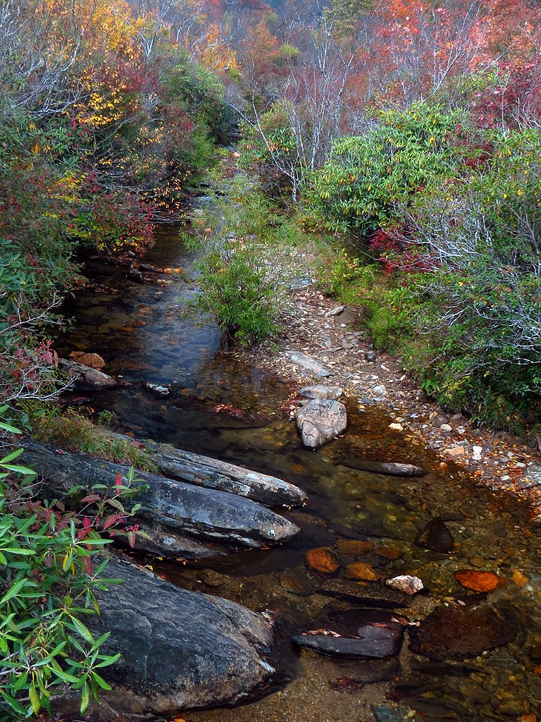 Yellowstone Falls waterfall