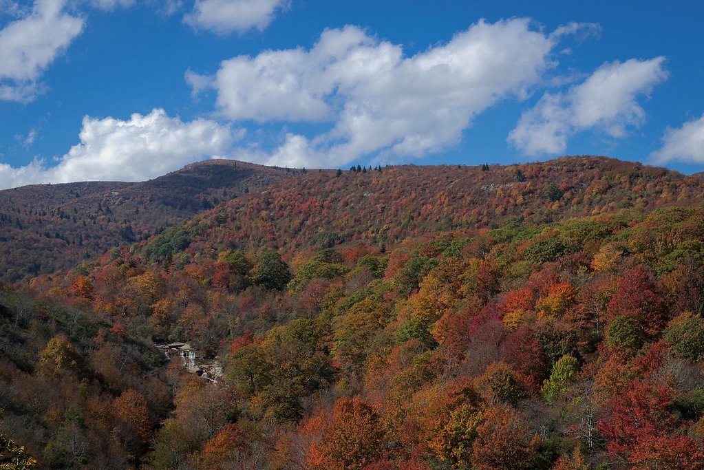 Yellowstone Falls waterfall