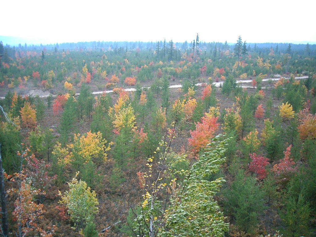 Yellow Dog Falls waterfall