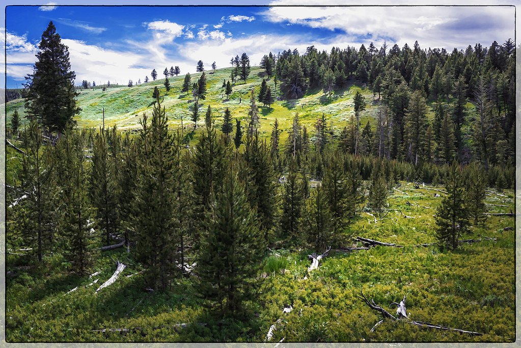 Wraith Falls waterfall