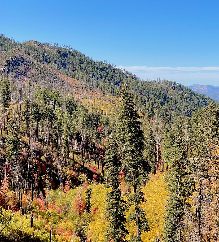 Workman Creek Falls waterfall