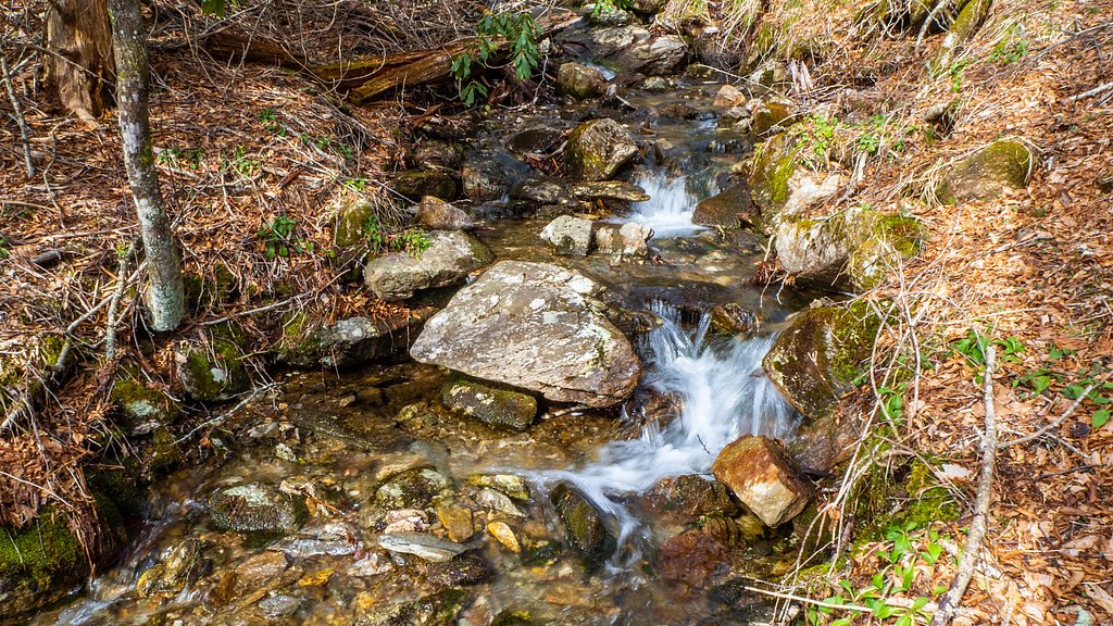 Woodfin Falls waterfall