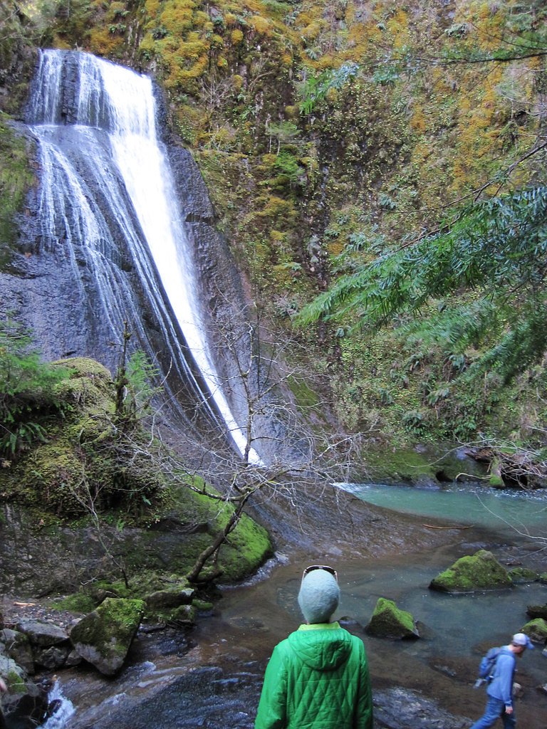 Wolf Creek Falls waterfall