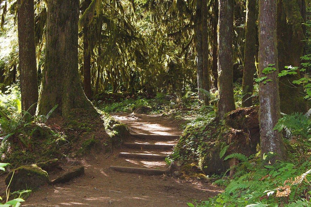 Wolf Creek Falls waterfall