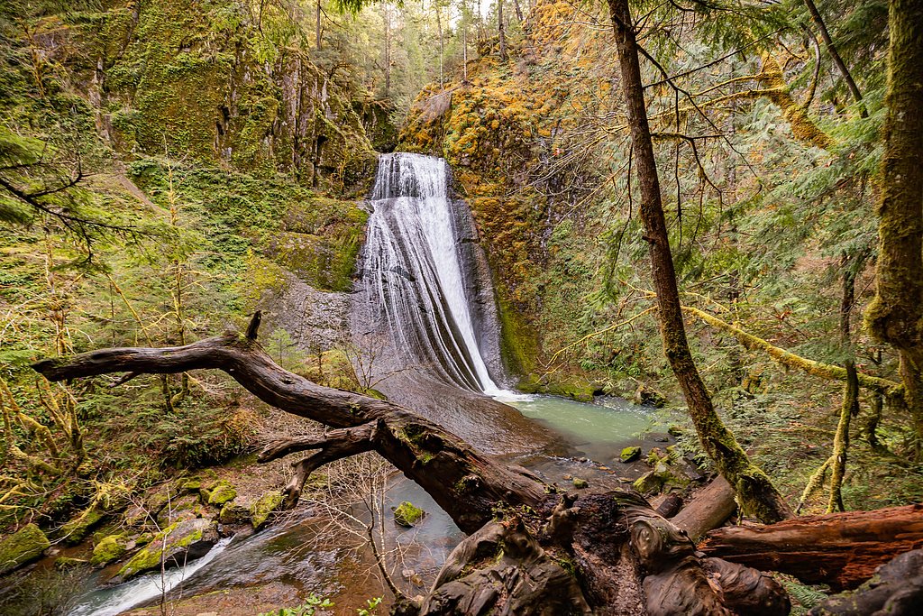 Wolf Creek Falls waterfall
