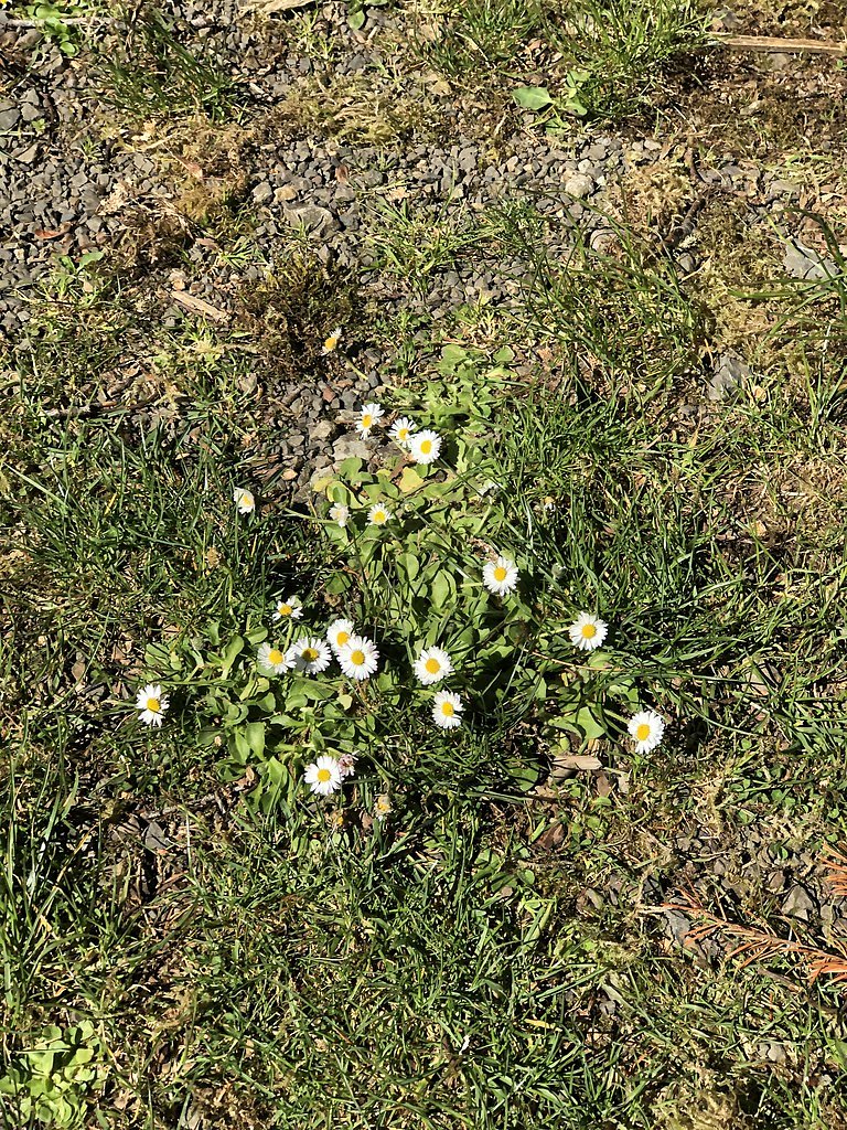 Wilson Falls waterfall