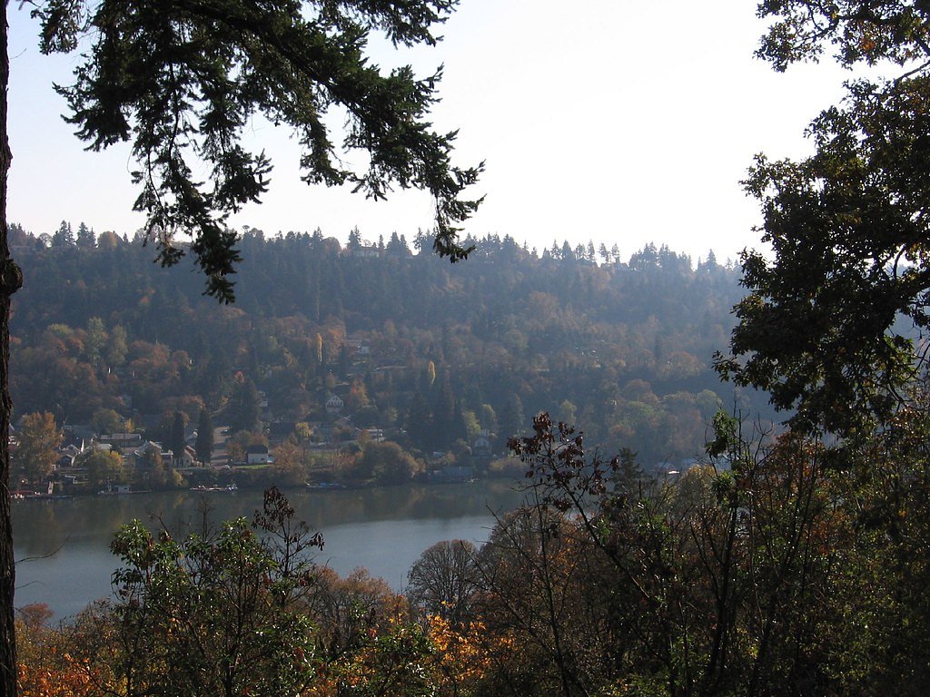 Willamette Falls waterfall