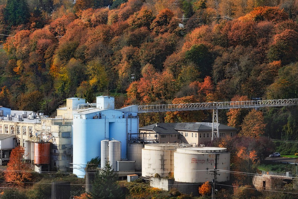 Willamette Falls waterfall