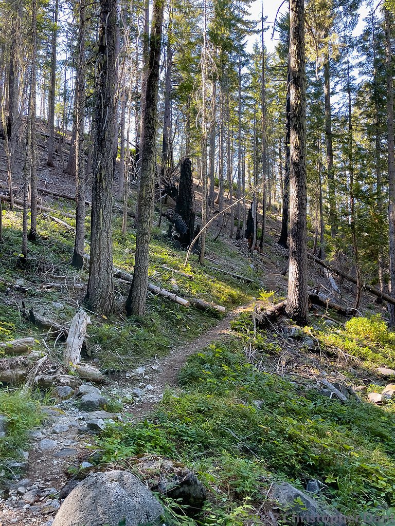 Wilderness Falls waterfall