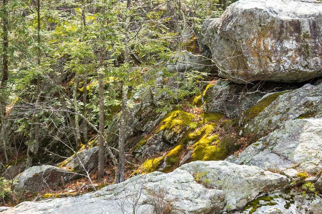 Wildcat Falls waterfall