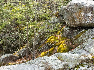 Wildcat Falls, NH