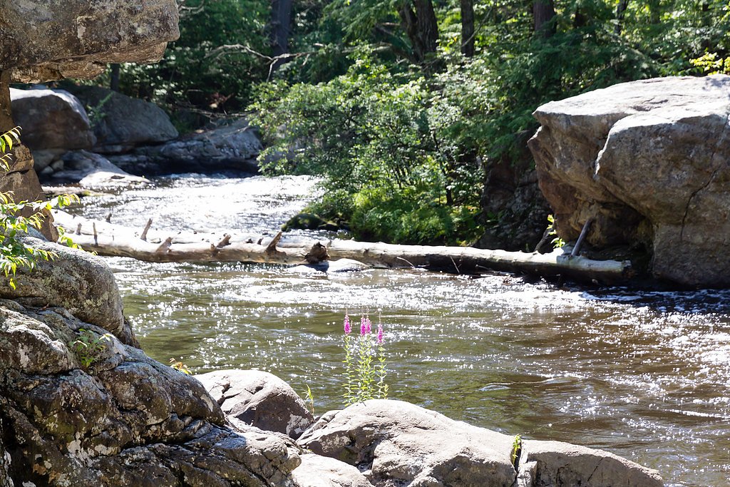 Wildcat Falls waterfall