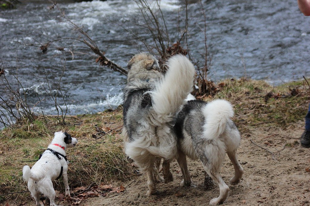 Wildcat Falls waterfall