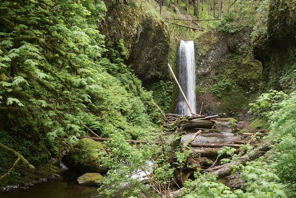 Wiesendanger Falls waterfall