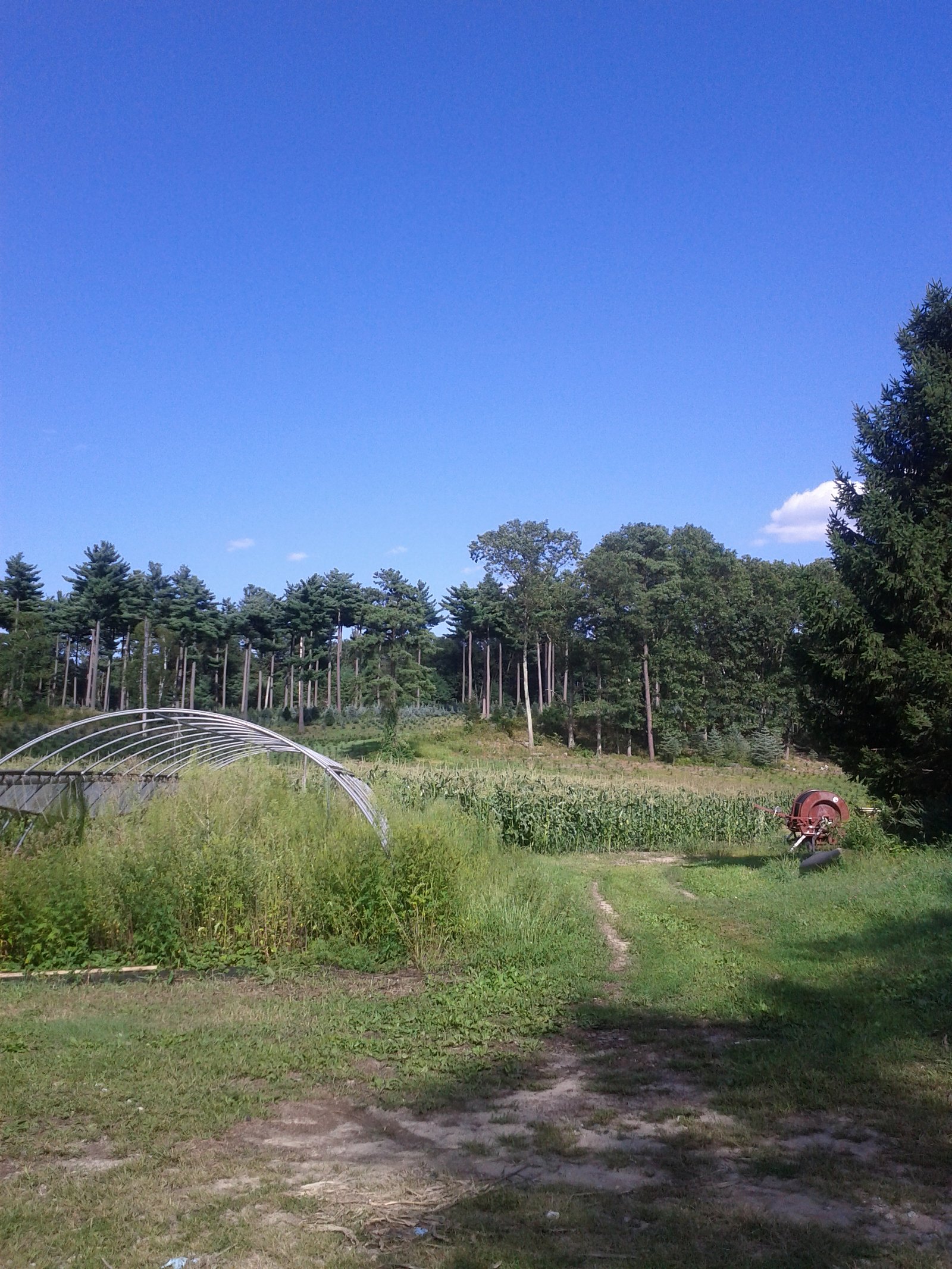 Wicassic Falls waterfall