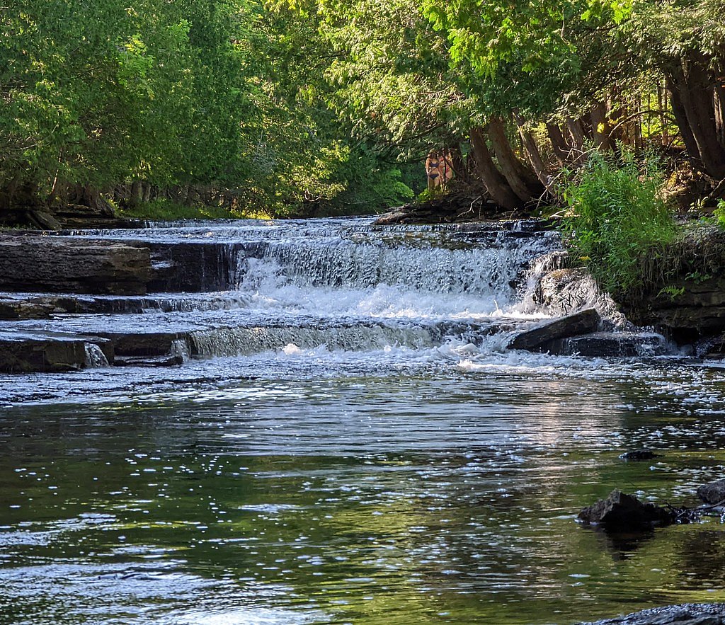 Whitefish Falls waterfall