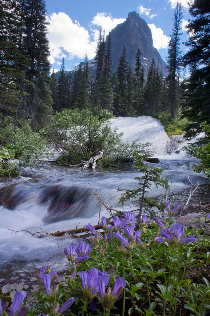 White Quiver Falls waterfall