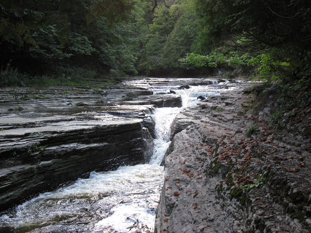 Whitaker Falls waterfall