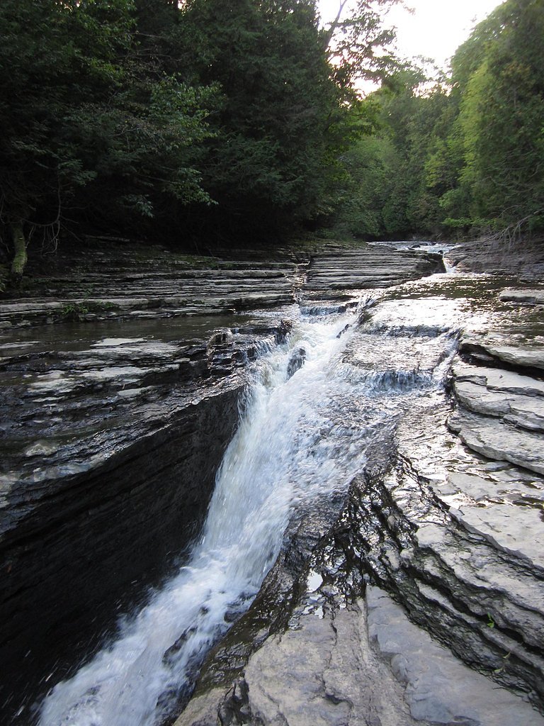 Whitaker Falls waterfall