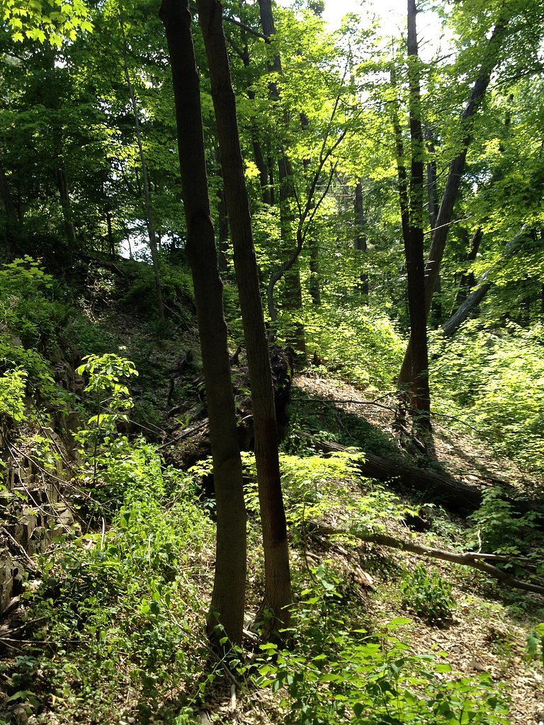 Westfield Falls waterfall