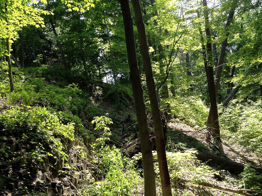 Westfield Falls waterfall