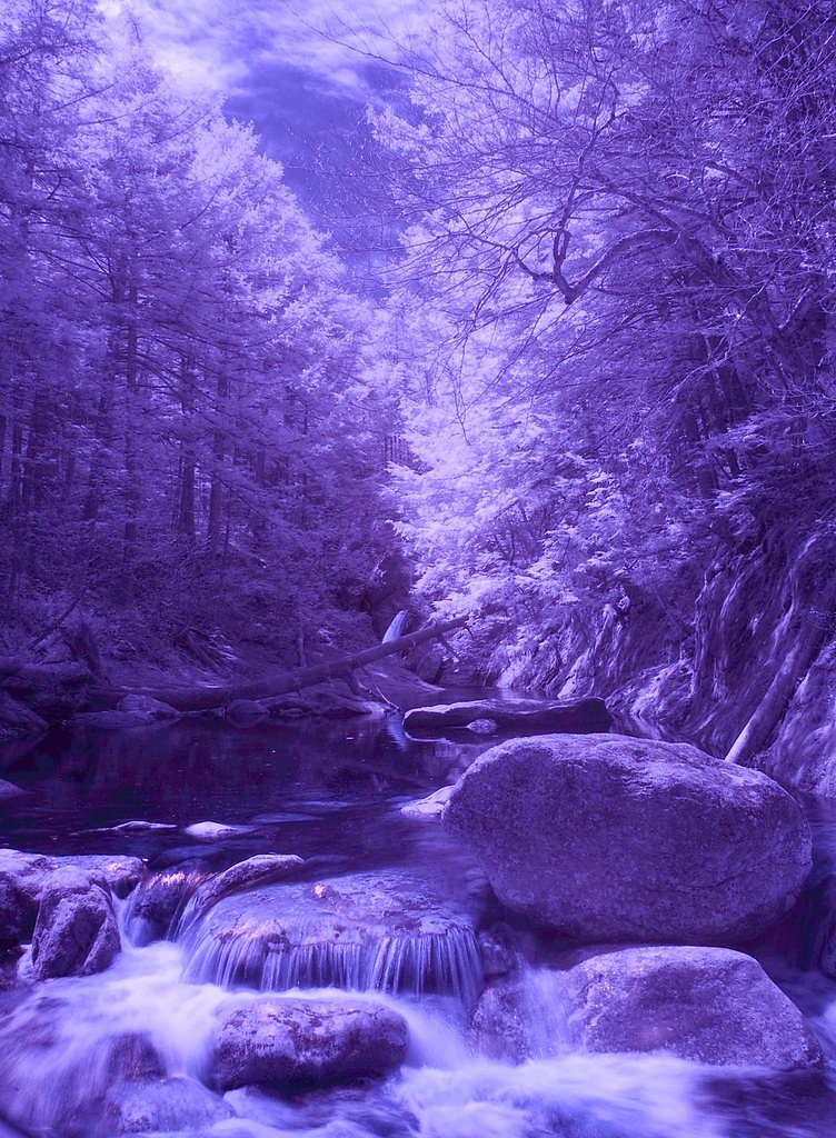 Welton Falls waterfall