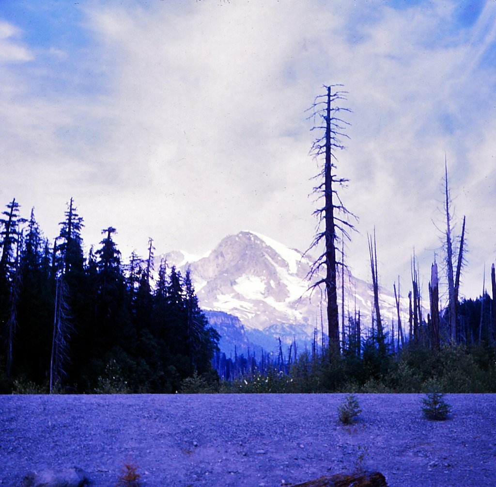 Washington Cascades waterfall