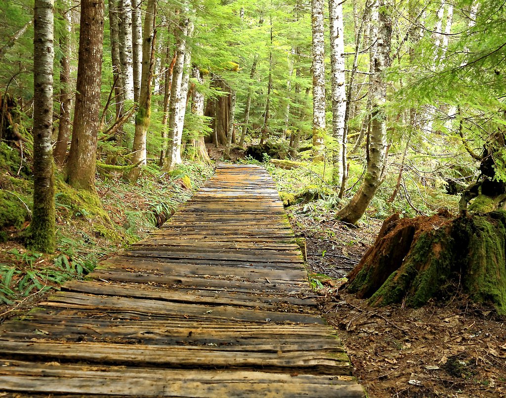 Washington Cascades waterfall