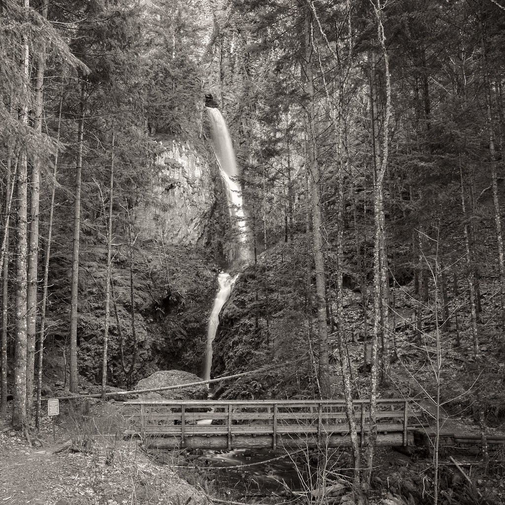 Warren Creek Falls waterfall