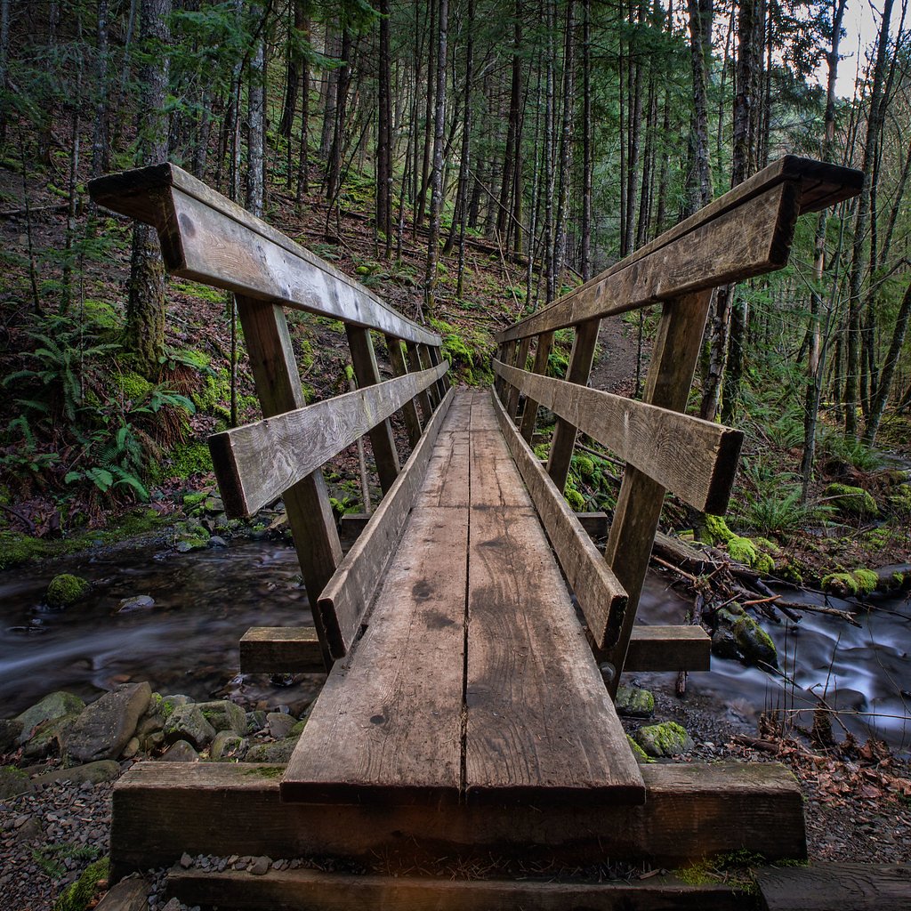 Warren Creek Falls waterfall