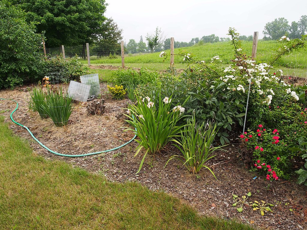 Warner Falls waterfall