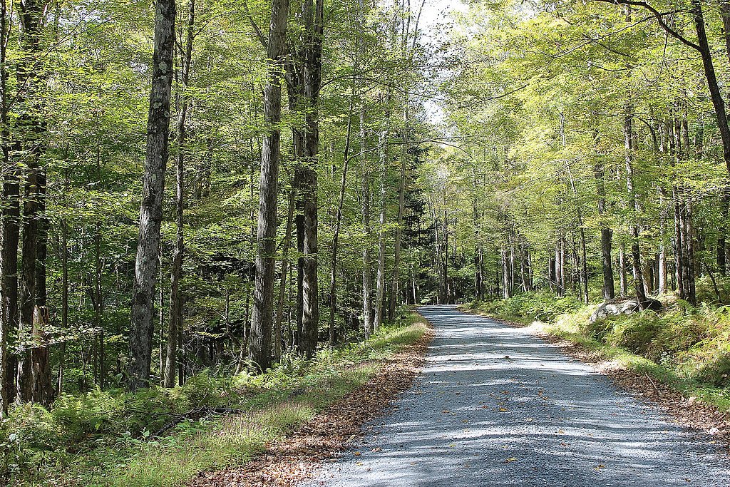 Wangum Falls waterfall
