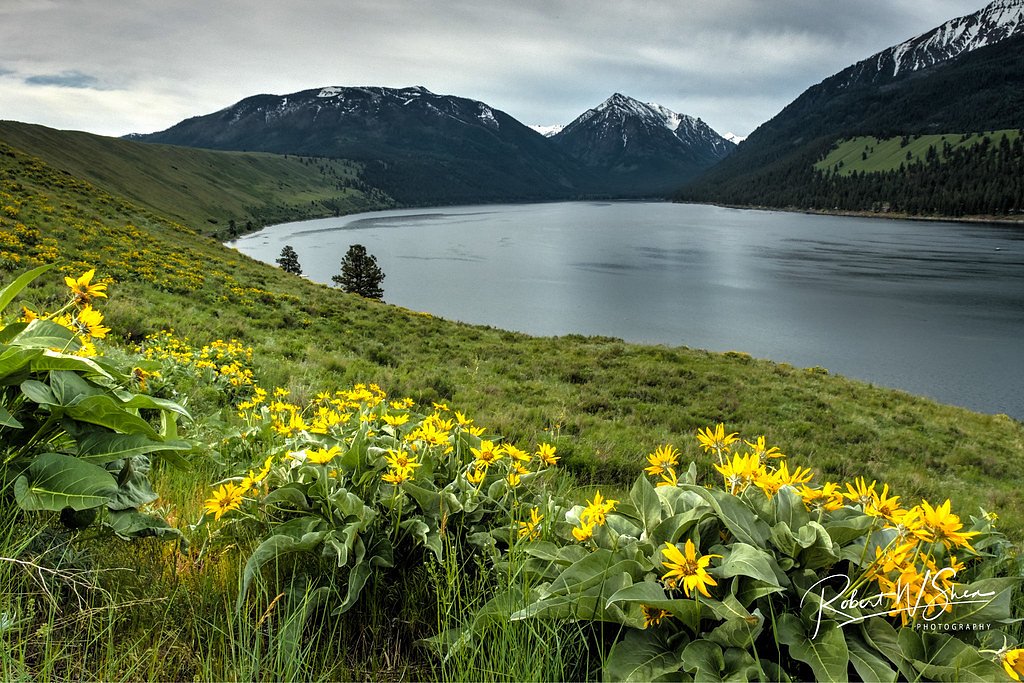 Wallowa Falls waterfall